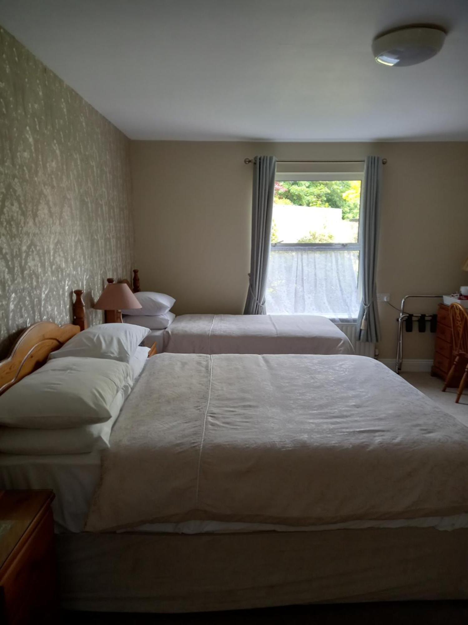 Carraig Rua Bed & Breakfast Kilkenny Ngoại thất bức ảnh