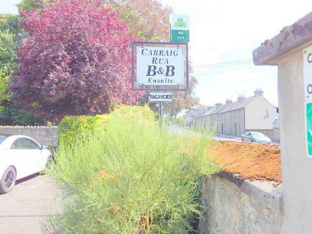 Carraig Rua Bed & Breakfast Kilkenny Ngoại thất bức ảnh